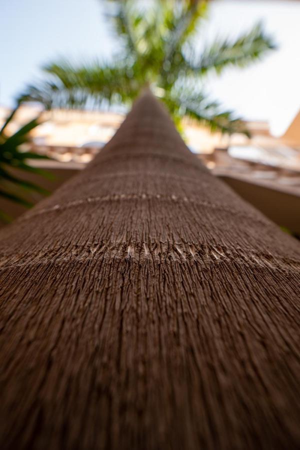 Luxury Apartment Ocean View Las Americas Costa Adeje  Esterno foto